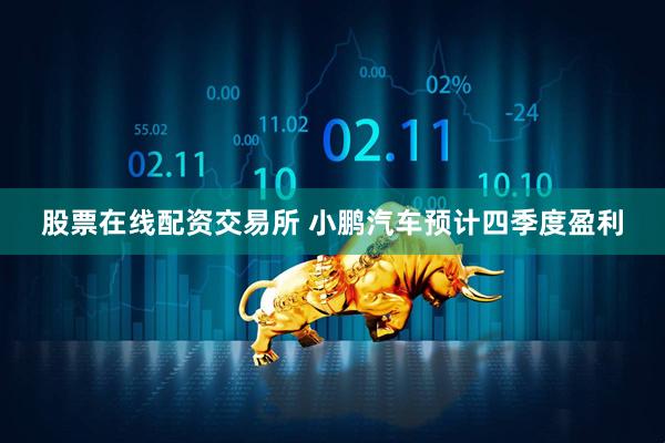 股票在线配资交易所 小鹏汽车预计四季度盈利