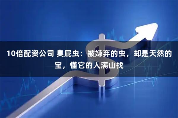 10倍配资公司 臭屁虫：被嫌弃的虫，却是天然的宝，懂它的人满山找